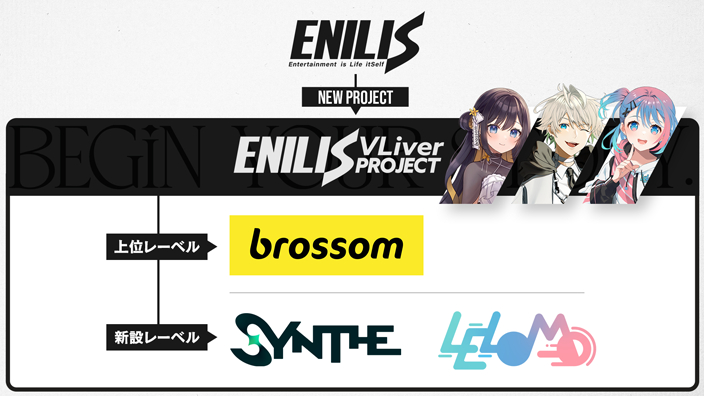 ENILIS VLiver Projectの組織レイヤー図説