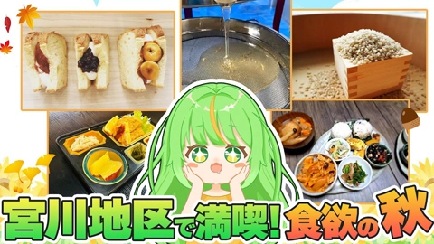 宮里ひまわり （Miyazato Himawari）