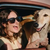 Rokid、約38.5gのAIグラス「Rokid Ai Glasses Style」を日本発売。6万4990円